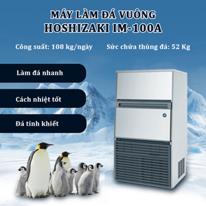 Máy làm đá viên Hoshizaki IM100A