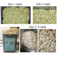 MÁY LÀM GIÁ ĐỖ ĐA SẠCH ĐA NĂNG