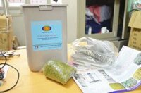 Máy làm giá đỗ sạch tại nhà GV-102