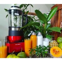 Máy làm sữa hạt Ranbem 735H