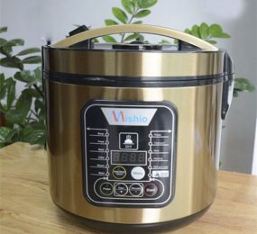 Máy làm tỏi đen Mishio MK10