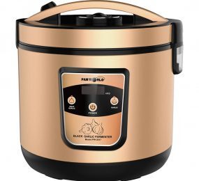 Máy làm tỏi đen Panworld PW-2017