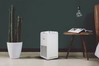 Máy lọc không khí Daikin MC55UVM6