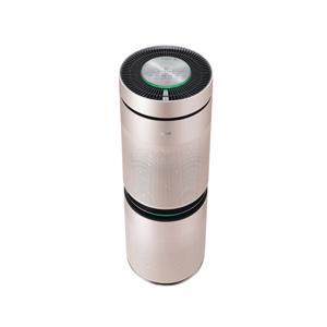 Máy lọc không khí LG PuriCare AS10GDPD0