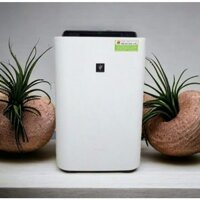 Máy lọc không khí Sharp tạo ẩm KC-D70 E70 F70 G70 hàng nhật mới 98% ion 7000 màng lọc mới - đã chuyển 220v