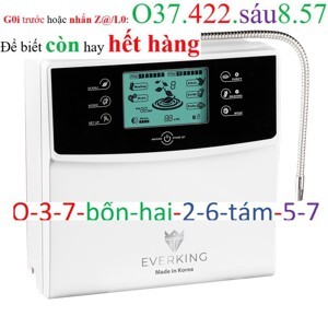 Máy lọc nước điện giải Everking EK-99