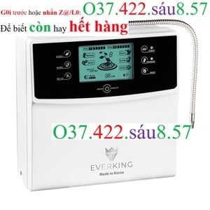 Máy lọc nước điện giải Everking EK-99