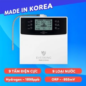 Máy lọc nước điện giải Everking EK-99