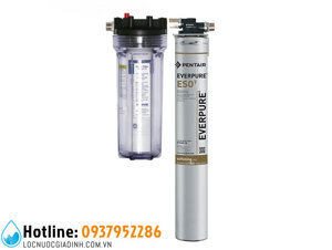 Máy lọc nước Everpure ESO7