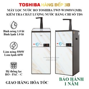 Máy lọc nước RO nóng lạnh Toshiba TWP-W1905SV(MB)