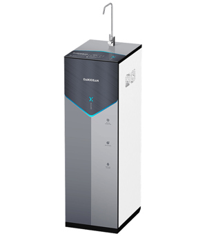 Máy lọc nước X-Guard RO in 3D Daikiosan DSW-33010M
