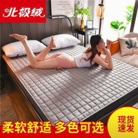 Máy Lông Cừu Bắc Cực Có Thể Giặt Nệm Mỏng Miếng Lót Tatami Tấm Bảo Vệ Chống Trơn Trượt Nệm Mỏng Đơn Đôi Ký Túc Xá Giường Trẻ Em