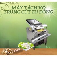 Máy lột vỏ trứng cút-hỗ trợ bóc trứng tự động-máy bóc nhanh và sạch vỏ trứng 98%-Hàng cao cấp