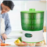 Máy mầm đậu Bộ trồng mầm đậu cho đậu nành Đậu xanh đậu đỏ