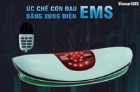 Máy Massage Lưng Fujita Nhật Bản Cao Cấp