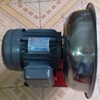 Máy nạo trái dừa 1 hp