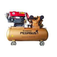 Máy nén khí 500 Lít, 10Hp, Áp 8, đầu nổ 16Hp, Pegasus Model TM-W-1.0/8-500L