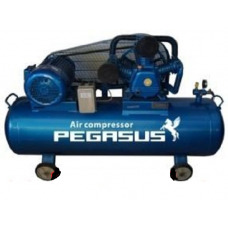 Máy nén khí chạy dầu diesel Pegasus TM-W-1.6/8-500L