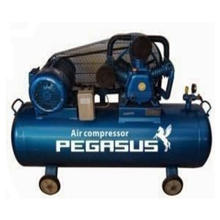 Máy nén khí chạy dầu diesel Pegasus TM-W-1.6/8-500L