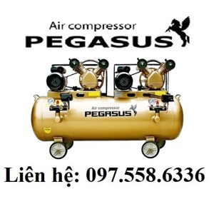 Máy nén khí dây đai 2 đầu nén, 2 moto Pegasus TM-V-0.25/12.5 x2-230L
