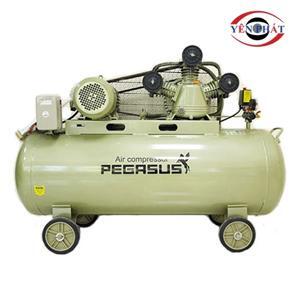 Máy nén khí Pegasus TM-V-0.36/8-230L