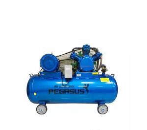 Máy nén khí dây đai Pegasus TM-W-0.67/12.5 - 330L