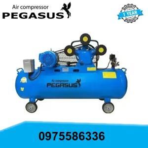 Máy nén khí dây đai pegasus TM-W-0.67-8-500L