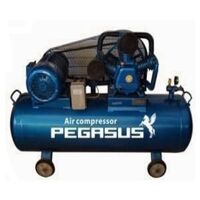 Máy nén khí dây đai Pegasus TM-W-2.0/8-500L 20HP/380V