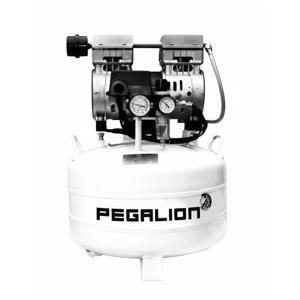 Máy nén khí giảm âm Pegasus TM-OF550-40L