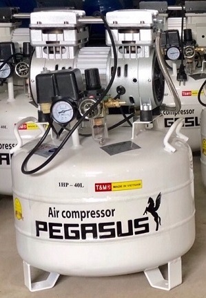 Máy nén khí không dầu giảm âm Pegasus TM-OF550-35L