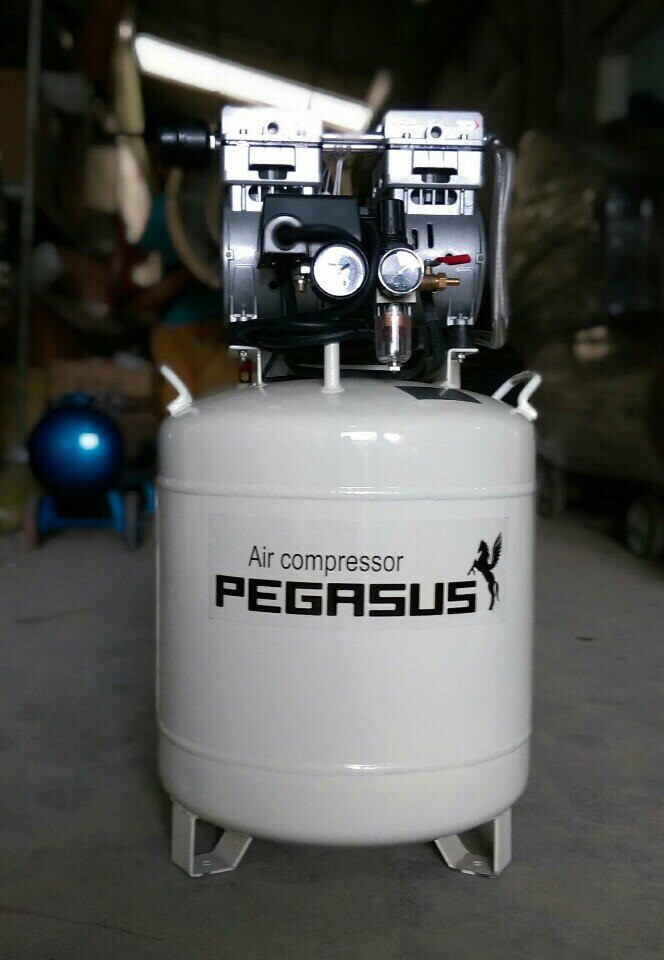 Máy nén khí không dầu Pegasus TM-OF750-50L