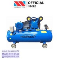 Máy nén khí, máy bơm hơi PEGASUS TM-W-0.36/8-230L-220V 4 HP, 230 lít, 8 bar, 220V
