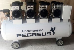 Máy nén khí Pegasus TM-OF1100X4-330L