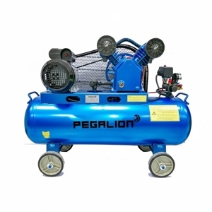 Máy nén khí Pegasus TM-V-0.25/8 - 120L