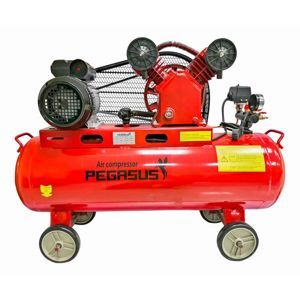 Máy nén khí Pegasus TM-V-0.25/8 - 120L