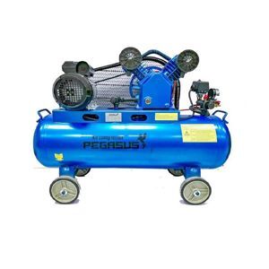 Máy nén khí Pegasus TM-V-0.25/8 - 120L