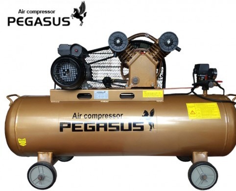 Máy nén khí Pegasus TM-V-0.25/8-180L