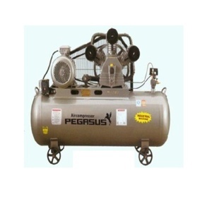 Máy nén khí Pegasus TM-V -0.25/8-70L