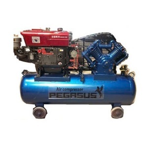 Máy nén khí Pegasus TM-V-0.25/8 - 100L