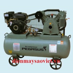 Máy nén khí Pegasus TM-V-0.25/8 - 100L