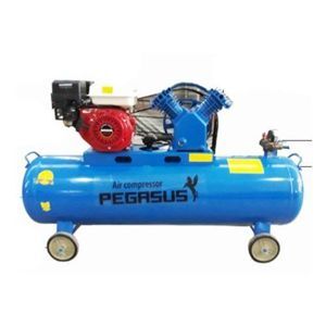 Máy nén khí Pegasus TM-V-0.25/8 - 120L