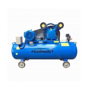Máy nén khí Pegasus TM- V -0.6/8 -330L