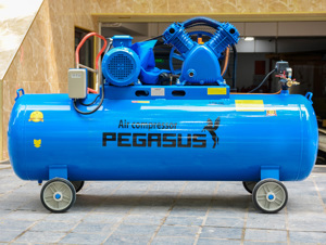 Máy nén khí Pegasus TM- V -0.6/8 -330L