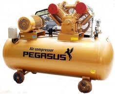 Máy nén khí Pegasus TM- V -0.6/8 -330L