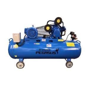Máy nén khí Pegasus TM- V -0.6/8 -330L