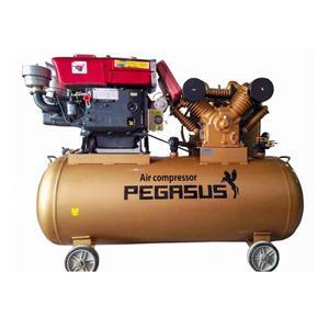 Máy nén khí Pegasus TM-V -1.05/12.5-500L