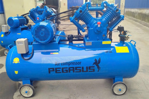 Máy nén khí Pegasus TM-V -1.05/12.5-500L