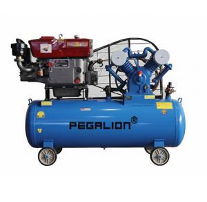 Máy nén khí Pegasus TM-V -1.05/12.5-500L