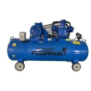 Máy nén khí Pegasus TM-W-0.9/8-330L