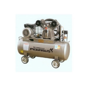 Máy nén khí Pegasus TM-W-0.9/8-330L